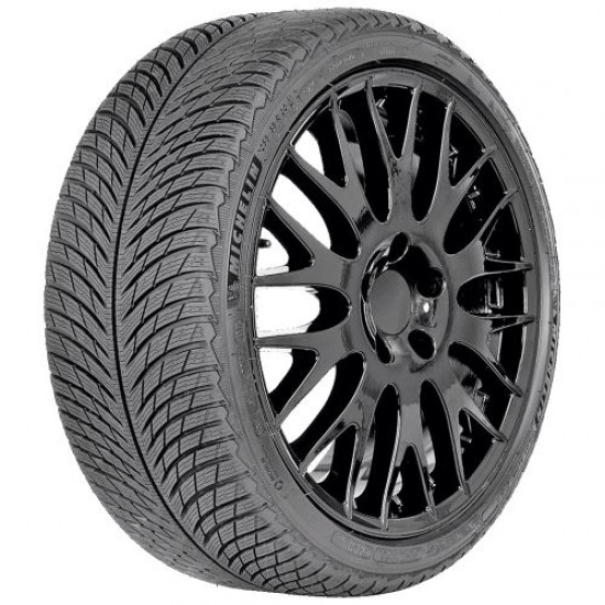 Michelin Pilot Alpin 5(MO) 205/55 R17 91H