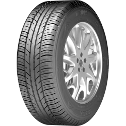 ZEETEX WP1000 195/65 R15 91H