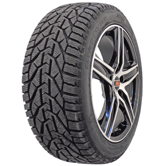 TAURUS FR WINTER 205/55 R16 91H