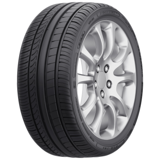 FORTUNE FSR-701 255/30 R19 91Y XL