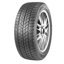 DOUBLESTAR Winterking DW09 235/55 R20 102H