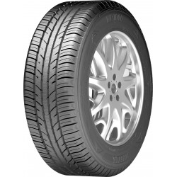 165/65 R14 WP1000