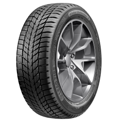 255/50 R19 LEAO WINTER DEFENDER 2