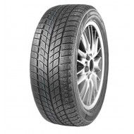 235/55 R20 DOUBLESTAR DW09