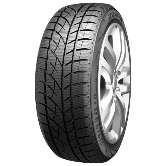 205/55 R16 ROADX RXFROST WU01