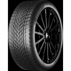 255/45 R20 DUNLOP Winter 255/45 R20 DUNLOP Winter