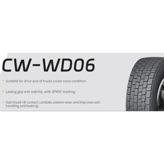 295/80 R22.5 CW-WD06