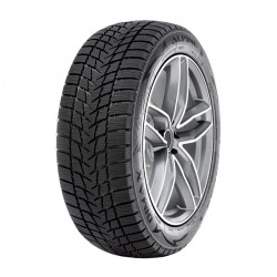 205/50 R17 RADAR DIMAX ALPINE